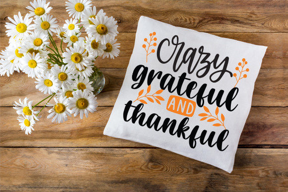 Crazy Grateful and Thankful T Shirt: Graphics and Crafts